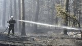 Největší lesní požár: Škody jdou do milionů, pět hasičů se zranilo!