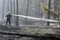 Největší lesní požár: Škody jdou do milionů, pět hasičů se zranilo!