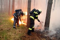 U Bzence hoří les, požár založila zřejmě jiskra od projíždějícího vlaku