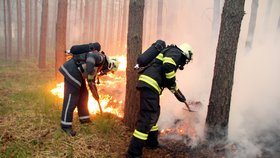 Lesní požár u Bzence zasáhl 200 hektarů borovic v lokalitě Moravská Sahara.