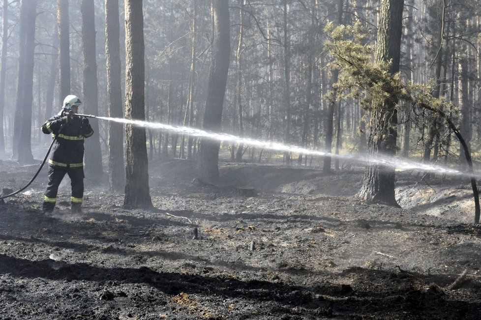 Při likvidaci největšího lesního požáru se vystřídalo přes tisíc hasičů.