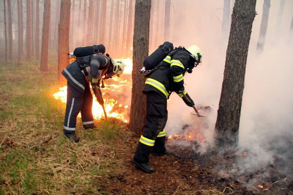 Lesní požár u Bzence zasáhl 200 hektarů borovic v lokalitě Moravská Sahara