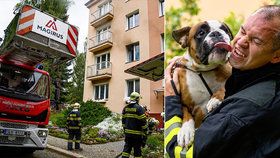 Požár bytu v Liberci, hasiči zachránili psa.