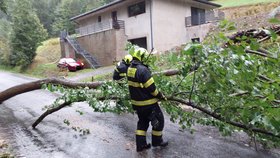 Zásah hasičů Pardubického kraje (13. 9. 2024).