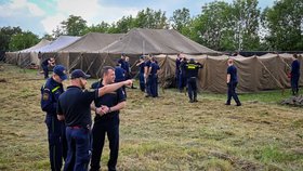 V Malešicích roste druhé stanové městečko pro uprchlíky, nabídne 150 míst. Dělníci pokáceli dřeviny