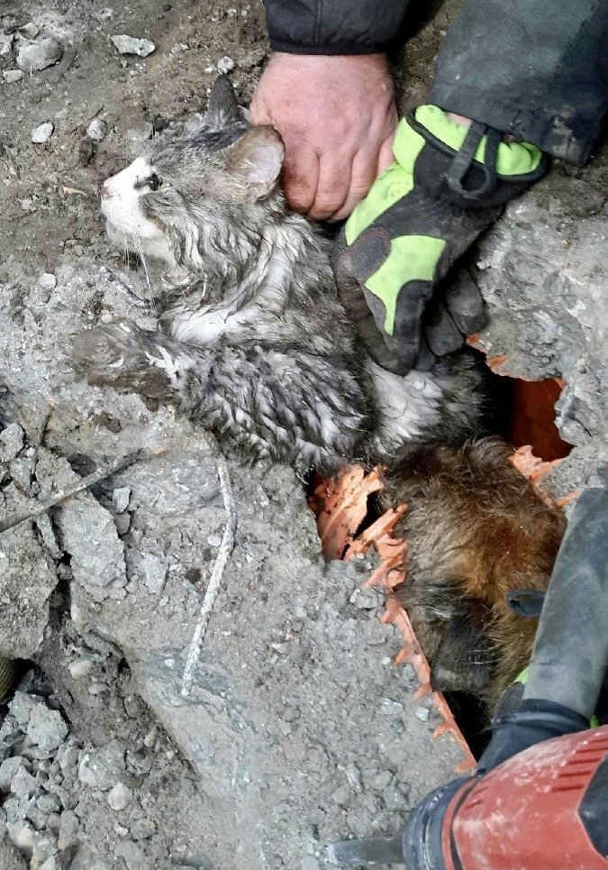 Hasiči v Mutěnicích na Hodonínsku 4,5 hodiny zachraňovali psa, který vběhl za kočkou do kanalizace a uvízl v ní. K překvapení hasičů tam byla s ním i ta kočka.