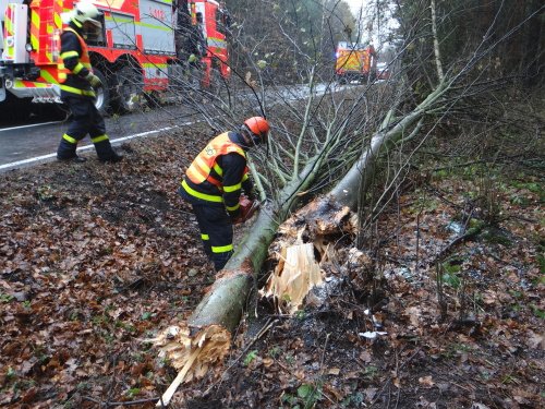 Po nehodě autobusu u obce Píšť na Opavsku hasiči zachraňovali uvázlé cestující i řidiče. Vozidlo pak vyprostilo pomocí speciálu zvaného Bizon.