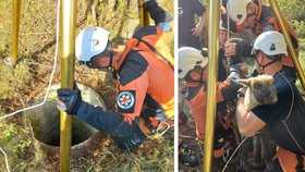 Kuriózní zásah hasičů: Z hluboké studny zachraňovali jehně