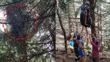 Paraglidista uvízl na stromě u Janských Lázní: O pomoc volal dvě hodiny