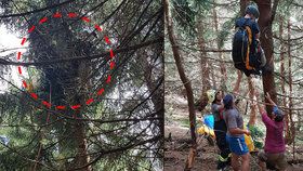 Polský paraglidista uvízl na stromě u Janských Lázní: O pomoc volal dvě hodiny.