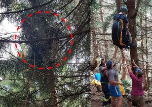 Polský paraglidista uvízl na stromě u Janských Lázní: O pomoc volal dvě hodiny.