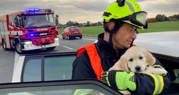 Dojemná fotka z nehody u Vražkovic: Hasič držel v náručí štěně, snažil se ho uklidnit