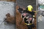 Hasiči zachránili z řeky Opavice nemocnou a vyděšenou fenku Maggie.