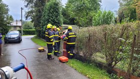 Snaha přelézt plot nevyšla. Žena na něm v bolestech zůstala viset.