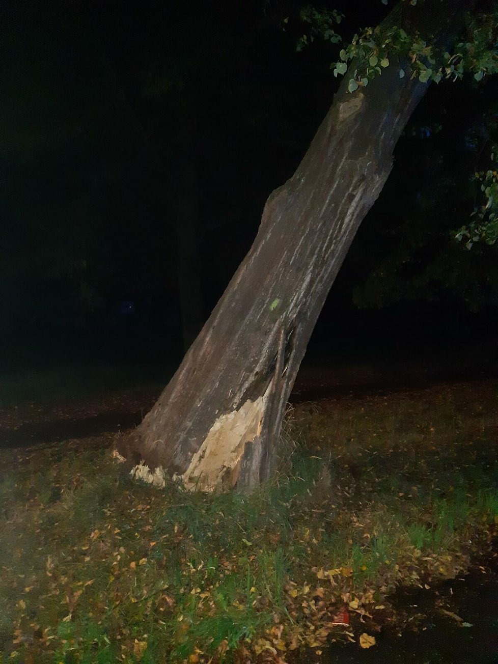 Hasiči Středočeského kraje odstraňují po bouři stromy ze silnice (3. 10. 2023)