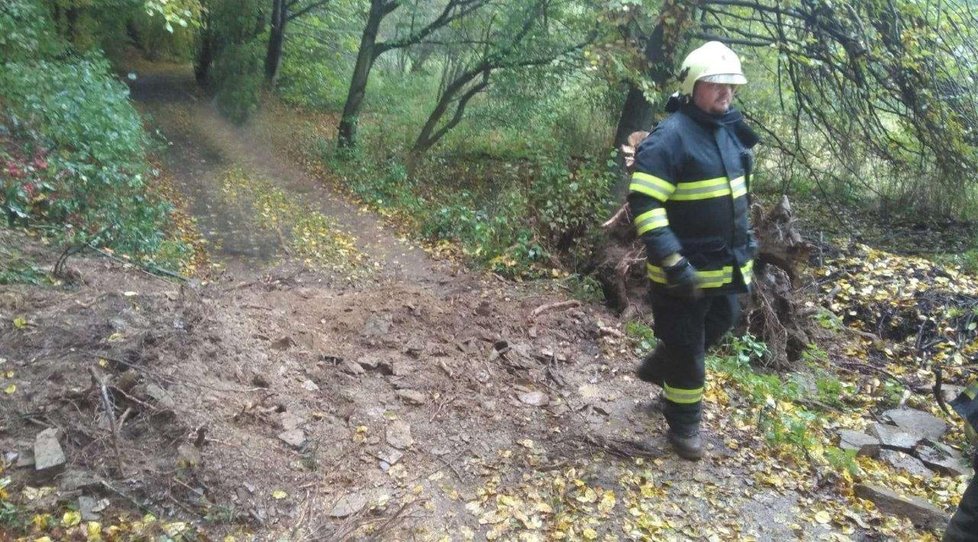 Hasiči Středočeského kraje zasahovali u spadlého stromu (14. 10. 2020).