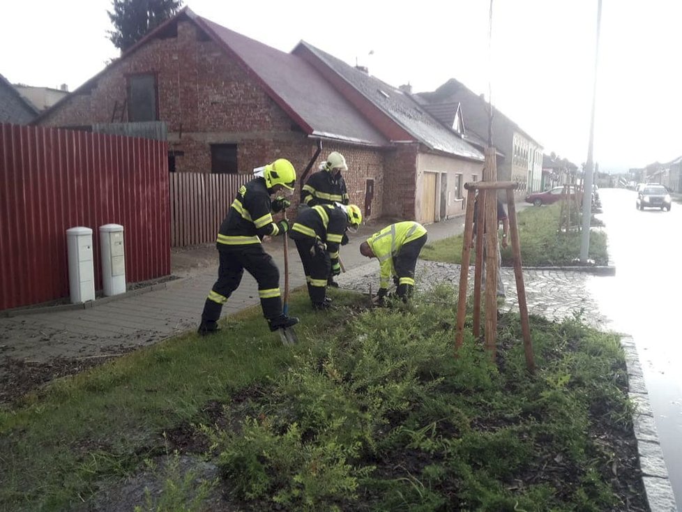 Nejvíc napilno měli hasiči v Olomouckém kraji. (1.7.2019)