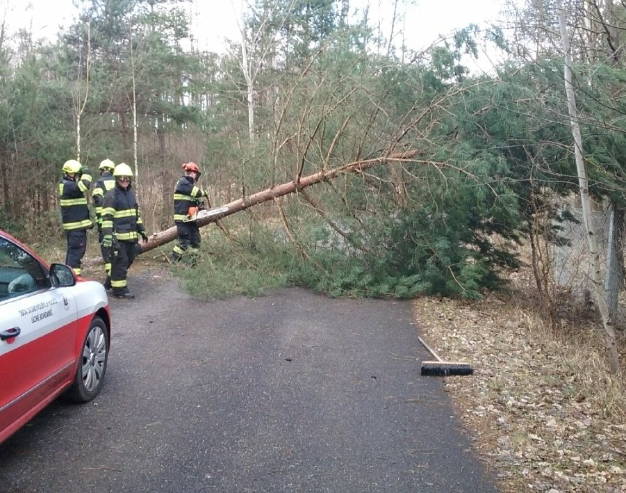 Silný vítr v Česku: Pardubičtí hasiči vyjížděli k popadaným stromům i k uvízlé zvěři