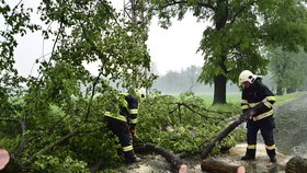 Hasiči likvidovali strom, který spadl přes cestu během ničivých bouřek.