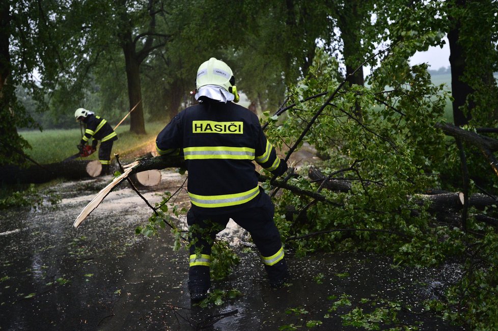 Hasiči u Hořovic likvidovali spadlý strom přes cestu.