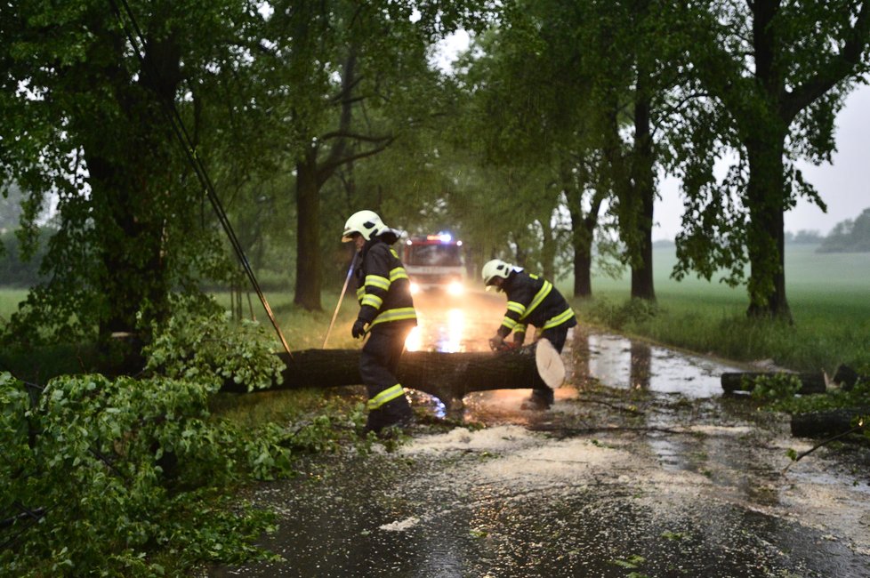 Hasiči u Hořovic likvidovali spadlý strom přes cestu.