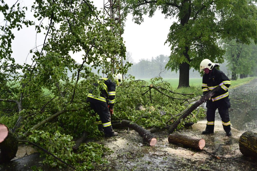 Hasiči u Hořovic likvidovali spadlý strom přes cestu.