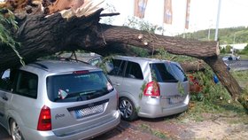 Hasiči strom z aut odstraňovali tři hodiny.