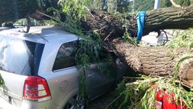 Strom poškodil šest aut.