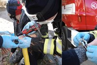 Po hrátkách dvou mužů v centru Pardubic museli zasahovat hasiči: Jeden z nich strávil celou noc uvězněný v poutech!