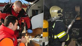 Požár kuchyňské linky v Bohnicích: Hasiči z plamenů zachránili tři lidi, dvě kočky a psa