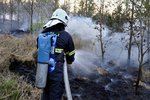 Ke vzniku požárů ovšem značně přispívá nynější horké a suché počasí. Jen za poslední čtyři dny hasiči likvidovali 614 požárů.