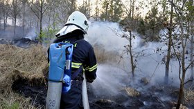 Ke vzniku požárů ovšem značně přispívá nynější horké a suché počasí. Jen za poslední čtyři dny hasiči likvidovali 614 požárů.