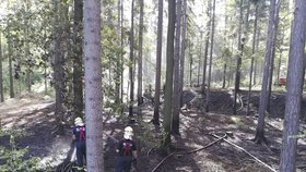 Na Rakovnicku hoří les. Zasahuje osm jednotek hasičů.