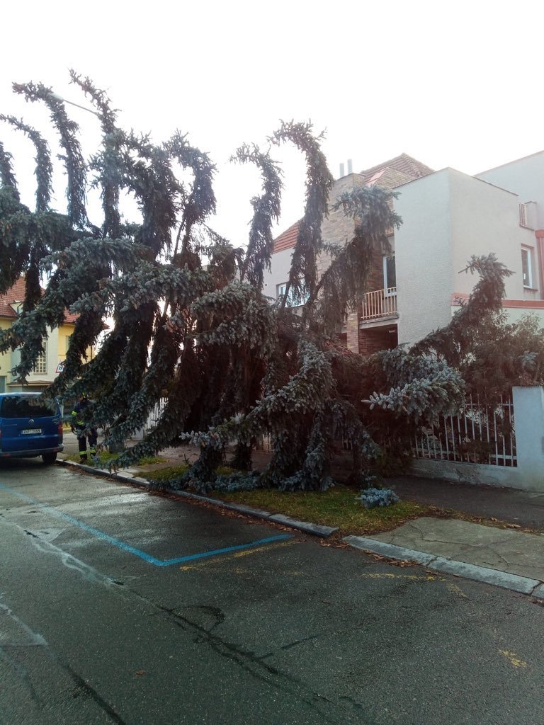 Pražští hasiči pomáhali odklízet vyvrácené stromy (11.2.2020)