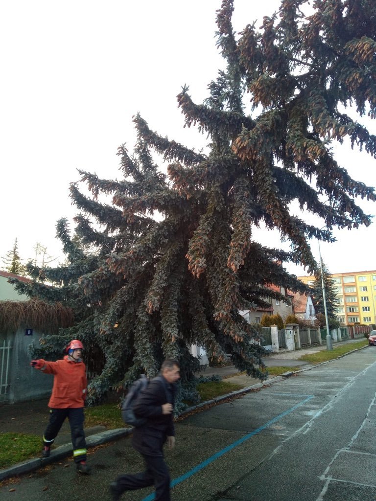 Pražští hasiči pomáhali odklízet vyvrácené stromy (11.2.2020).