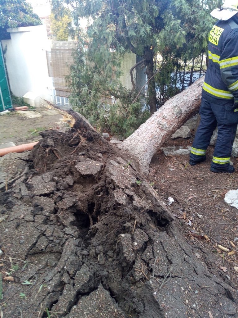 Pražští hasiči pomáhali odklízet vyvrácené stromy (11. 2. 2020)