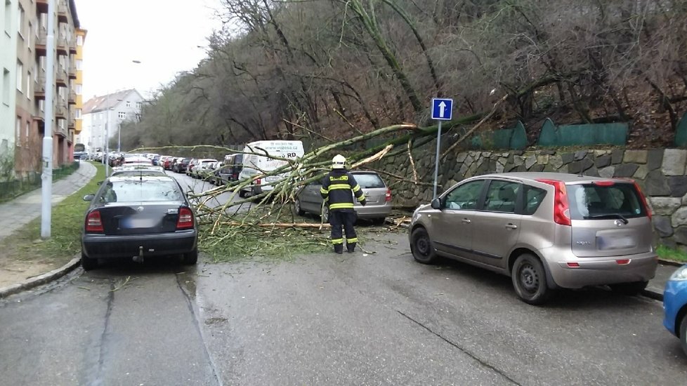 Kvůli velkému vichru padají stromy. Hasiči situaci na silnici řeší