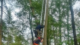 Ornitolog při kroužkování mláďat datla zůstal viset na stromě: Na pomoc mu vyrazili hasiči