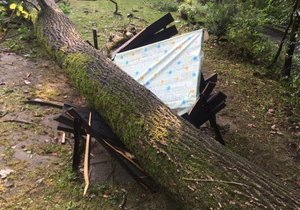 Hasiči evidovali z noci na pátek zatím 131 zásahů. Více než polovina z nich byla na Opavsku.