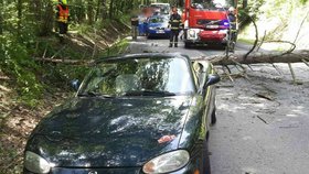 Štěstí v neštěstí měla v pondělí před polednem posádka kabrioletu v Brně. Padající strom nikoho nezranil.