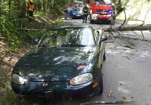 Štěstí v neštěstí měla v pondělí před polednem posádka kabrioletu v Brně. Padající strom nikoho nezranil.