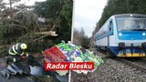 Výstraha před vichrem! Spadlé stromy zastavily vlaky u Prahy. Ochladí se, sledujte radar Blesku