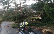 Sluníčko a teploty blížící se létu? Na ty už můžeme zapomenout. Rtuť teploměru se bude choulit okolo hranice deseti stupňů. Ochlazení vydrží až do začátku května.