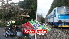 Výstraha před vichrem! Spadlé stromy zastavily vlaky u Prahy. Ochladí se, sledujte radar Blesku