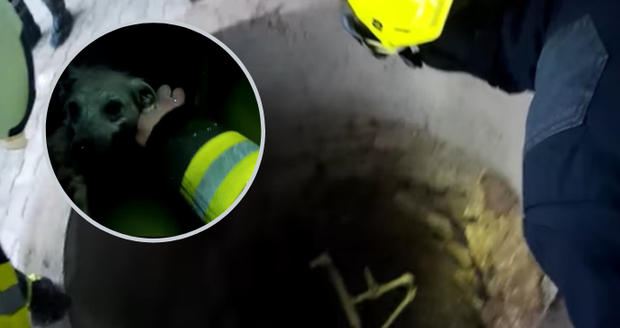 Pejsek v obci Cep spadl do hluboké studny: Zachránili ho hasiči