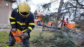 Bouře Sabine způsobila množství škod. Ve všech krajích museli zasahovat hasiči, aby škody po vichru odklidili.