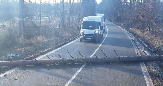 Bouře Sabine způsobila množství škod. Ve všech krajích musí zasahovat hasiči, aby škody po vichru odklidili.