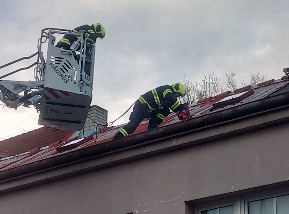 Kvůli bouři Sabine zasahovali hasiči v Praze na několika místech.