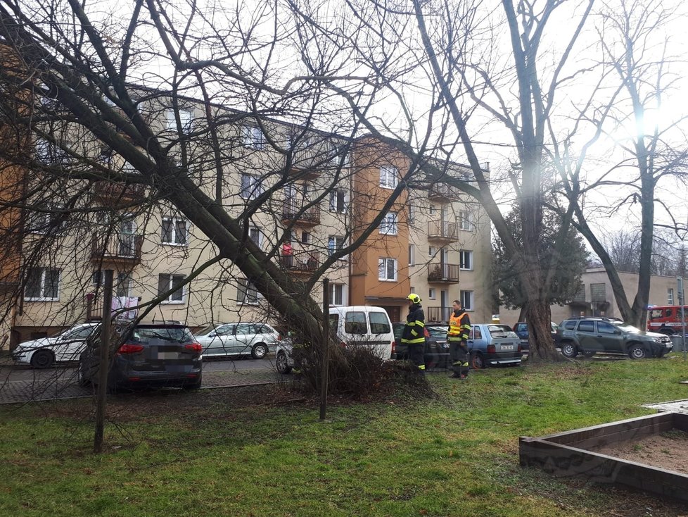 V Pardubickém kraji podnikli hasiči kolem sta výjezdu. Bouře Sabine způsobila značné škody.