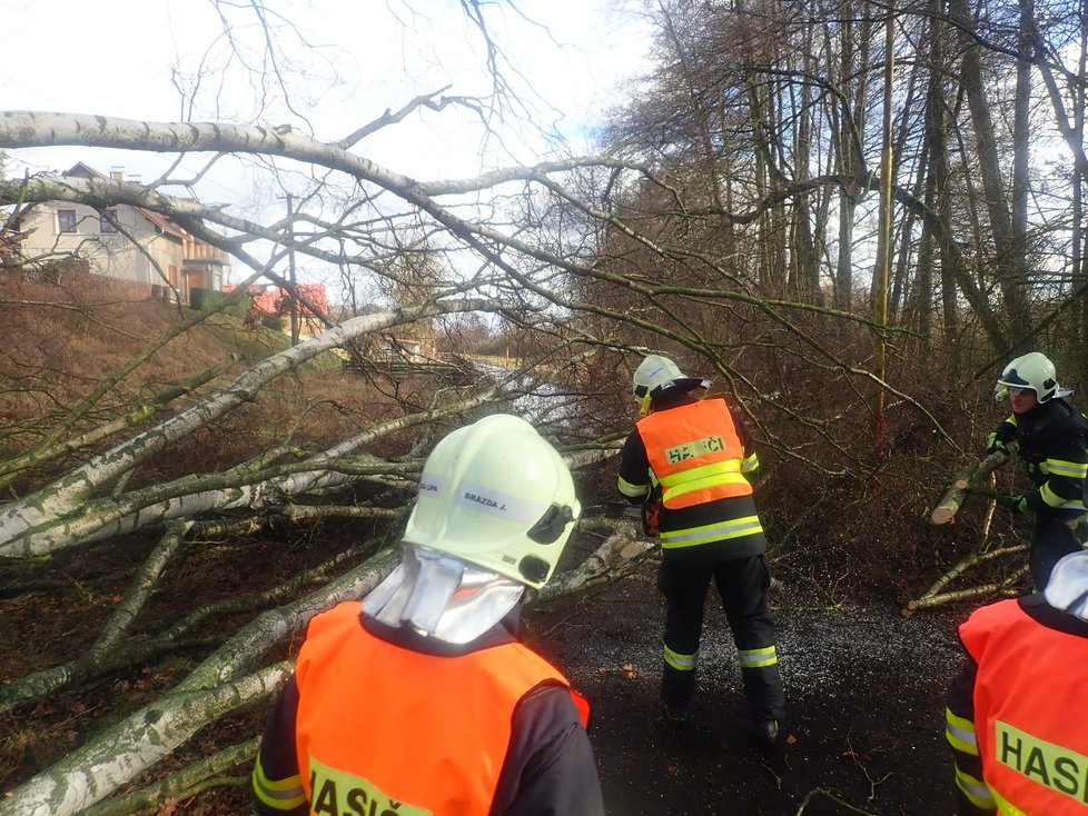 V Liberecké kraji vítr polámal stromy a poškodil majetek. Na místo škod přijeli hasiči